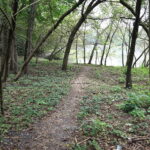 03.10.2024. Kielce. Tereny przy Zalewie Kieleckim / Fot. Wiktor Taszłow - Radio Kielce