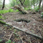 03.10.2024. Kielce. Tereny przy Zalewie Kieleckim / Fot. Wiktor Taszłow - Radio Kielce