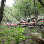 03.10.2024. Kielce. Tereny przy Zalewie Kieleckim / Fot. Wiktor Taszłow - Radio Kielce