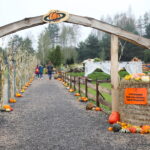 04.10.2024. Kielce. Dyniowa Planeta / Fot. Wiktor Taszłow - Radio Kielce