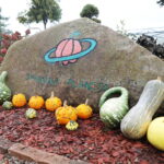 04.10.2024. Kielce. Dyniowa Planeta / Fot. Wiktor Taszłow - Radio Kielce