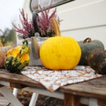 04.10.2024. Kielce. Dyniowa Planeta / Fot. Wiktor Taszłow - Radio Kielce