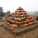 04.10.2024. Kielce. Dyniowa Planeta / Fot. Wiktor Taszłow - Radio Kielce