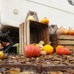 04.10.2024. Kielce. Dyniowa Planeta / Fot. Wiktor Taszłow - Radio Kielce