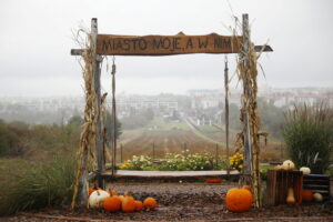 04.10.2024. Kielce. Dyniowa Planeta / Fot. Wiktor Taszłow - Radio Kielce