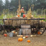 04.10.2024. Kielce. Dyniowa Planeta / Fot. Wiktor Taszłow - Radio Kielce