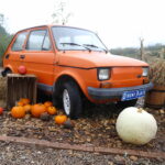 04.10.2024. Kielce. Dyniowa Planeta / Fot. Wiktor Taszłow - Radio Kielce