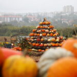 04.10.2024. Kielce. Dyniowa Planeta / Fot. Wiktor Taszłow - Radio Kielce