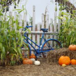 04.10.2024. Kielce. Dyniowa Planeta / Fot. Wiktor Taszłow - Radio Kielce