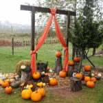 04.10.2024. Kielce. Dyniowa Planeta / Fot. Wiktor Taszłow - Radio Kielce