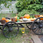 04.10.2024. Kielce. Dyniowa Planeta / Fot. Wiktor Taszłow - Radio Kielce