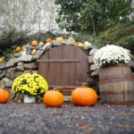 04.10.2024. Kielce. Dyniowa Planeta / Fot. Wiktor Taszłow - Radio Kielce