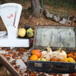 04.10.2024. Kielce. Dyniowa Planeta / Fot. Wiktor Taszłow - Radio Kielce