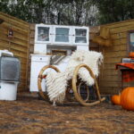 04.10.2024. Kielce. Dyniowa Planeta / Fot. Wiktor Taszłow - Radio Kielce