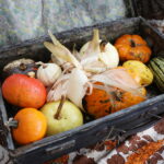 04.10.2024. Kielce. Dyniowa Planeta / Fot. Wiktor Taszłow - Radio Kielce