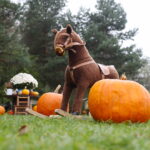 04.10.2024. Kielce. Dyniowa Planeta / Fot. Wiktor Taszłow - Radio Kielce