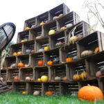 04.10.2024. Kielce. Dyniowa Planeta / Fot. Wiktor Taszłow - Radio Kielce