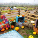 04.10.2024. Kielce. Dyniowa Planeta / Fot. Wiktor Taszłow - Radio Kielce