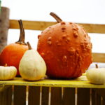 04.10.2024. Kielce. Dyniowa Planeta / Fot. Wiktor Taszłow - Radio Kielce