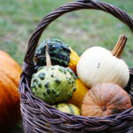 04.10.2024. Kielce. Dyniowa Planeta / Fot. Wiktor Taszłow - Radio Kielce