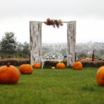 04.10.2024. Kielce. Dyniowa Planeta / Fot. Wiktor Taszłow - Radio Kielce