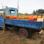 04.10.2024. Kielce. Dyniowa Planeta / Fot. Wiktor Taszłow - Radio Kielce