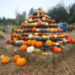 04.10.2024. Kielce. Dyniowa Planeta / Fot. Wiktor Taszłow - Radio Kielce