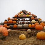 04.10.2024. Kielce. Dyniowa Planeta / Fot. Wiktor Taszłow - Radio Kielce