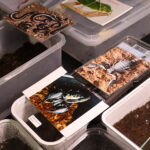 12.10.2024. Kielce, Event Terrarystyczny i Botaniczny DRAGON EXPO / Fot. Wiktor Taszłow - Radio Kielce