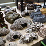 12.10.2024. Kielce, Event Terrarystyczny i Botaniczny DRAGON EXPO / Fot. Wiktor Taszłow - Radio Kielce