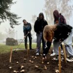 25.10.2024. Starachowice. Sadzenie cebulek żonkili w ramach Dni Pamięci / Fot. Anna Głąb - Radio Kielce