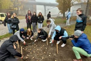 25.10.2024. Starachowice. Sadzenie cebulek żonkili w ramach Dni Pamięci / Fot. Anna Głąb - Radio Kielce