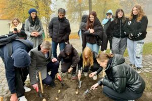 25.10.2024. Starachowice. Sadzenie cebulek żonkili w ramach Dni Pamięci / Fot. Anna Głąb - Radio Kielce