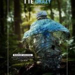 Papierzak szkaradny czy puszynka leśna to grzyby wygenerowane przez AI - Radio Kielce źródło: Lasy Państwowe