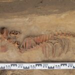 Fot. dr hab. Marek Florek