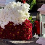 26.10.2024. Breda. 80. rocznica wyzwolenia Bredy przez 1. Dywizję Pancerną pod dowództwem gen. Stanisława Maczka / Fot. Renata Morąg - Radio Kielce