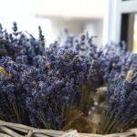 28.10.2024 Kielce. Otwarcie nowego zakładu aktywności zawodowej kieleckiej Caritas / Fot. Radosław Majkowski - Radio Kielce