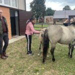 Konie szkoły rolniczej w Sandomierzu / Fot. Grażyna Szlęzak - Radio Kielce