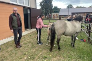 Konie szkoły rolniczej w Sandomierzu / Fot. Grażyna Szlęzak - Radio Kielce