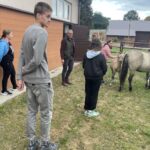 Konie szkoły rolniczej w Sandomierzu / Fot. Grażyna Szlęzak - Radio Kielce
