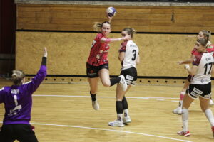 Kielce. Mecz Suzuki Korona Handball - Pogoń Szczecin - Radio Kielce