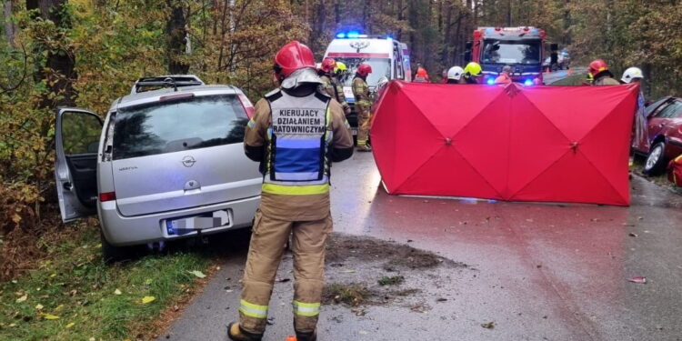 Uwaga kierowcy. Śmiertelny wypadek