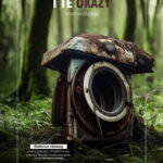 Papierzak szkaradny czy puszynka leśna to grzyby wygenerowane przez AI - Radio Kielce źródło: Lasy Państwowe