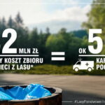 źródło: Lasy Państwowe