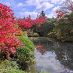 Muzyczne podróże przez świat. Japonia. Nikko / Fot. Danuta Rasała