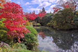 Muzyczne podróże przez świat. Japonia. Nikko / Fot. Danuta Rasała