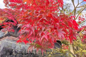 Muzyczne podróże przez świat. Japonia. Nikko / Fot. Danuta Rasała