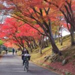 Muzyczne podróże przez świat. Japonia. Himeji / Fot. Danuta Rasała