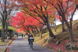 Muzyczne podróże przez świat. Japonia. Himeji / Fot. Danuta Rasała