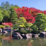 Muzyczne podróże przez świat. Japonia. Himeji / Fot. Danuta Rasała